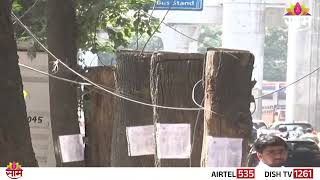 पुण्यात महामेट्रो 41 हजार झाडं लावणार, निविदा जारी | Pune Maha Metro Tree Plantation Drive