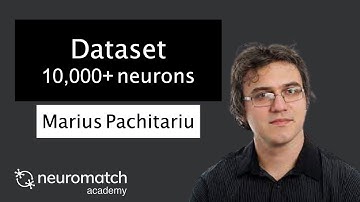 Projects Dataset: Stringer 10,000+ neurons