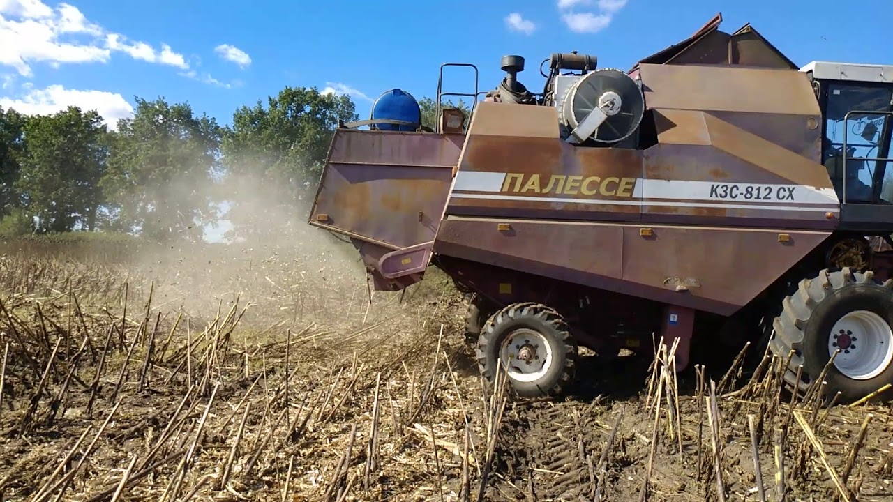 Уборка подсолнуха пионер ле-25 17.09.2018