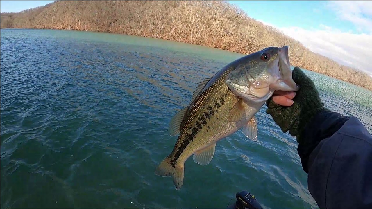 Bass FishingHigh, Muddy, Cold Water YouTube