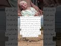 قالت له أمه أريد دواء فخرج من البيت يبكي لأنه لم يجد ثمن الدواء لأمه الجزاير اكسبلور اقنباسات