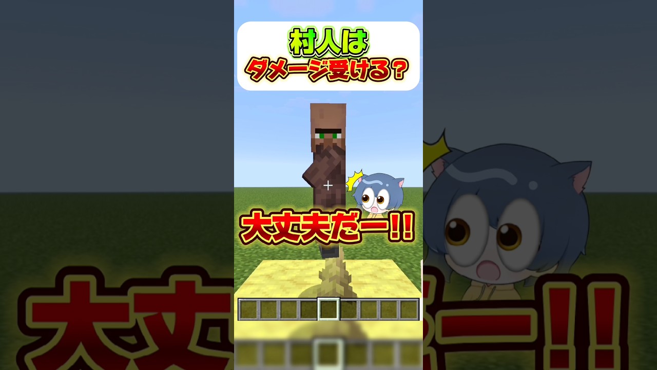村人はダメージを受ける?? #マイクラ