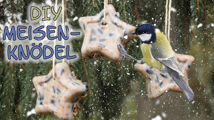 Meisenkndel selber machen | DIY Winterfutter | Vog...