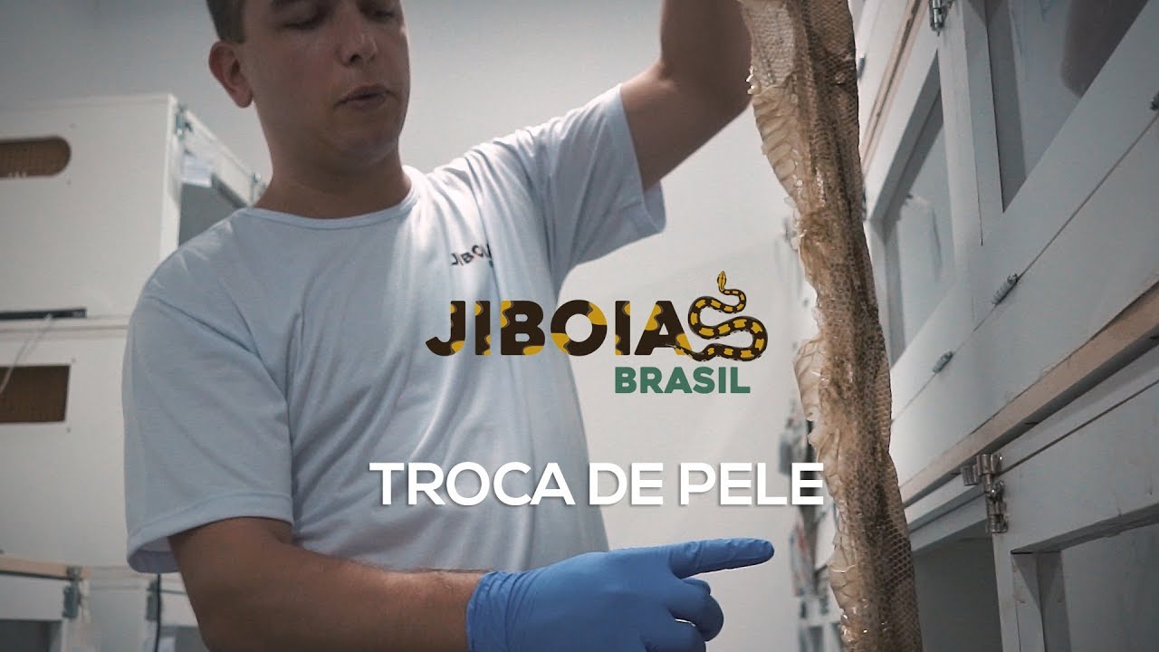 Troca de Pele
