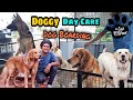 Hostel for dogs🐾 | The Best dog boarding in Coimbatore | Doggy Day care
