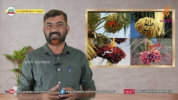 KITE VICTERS Plus Two Arabic Class 01 Unit 03 (First Bell-ഫസ്റ്റ് ബെല്‍)