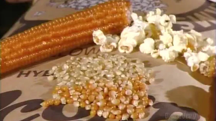 How It's Actually Made - Popcorn
