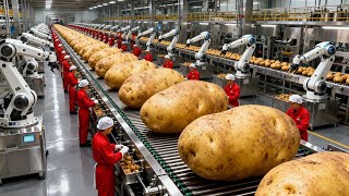 Details Inside a Pringles Production Line: From Raw Potatoes to Stacked Potato Crisps | Full Factory Process Update