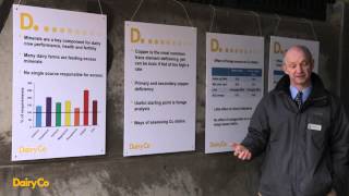Mineral nutrition of dairy cows - brought to you by AHDB Dairy
