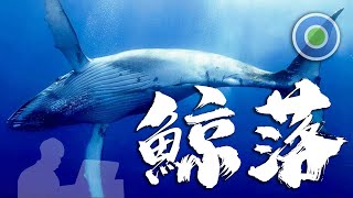 Video thumbnail of "【MIRROR】#鯨落【鋼琴版】 (主唱: 陳卓賢 Ian Chan )  @MIRRORweare"