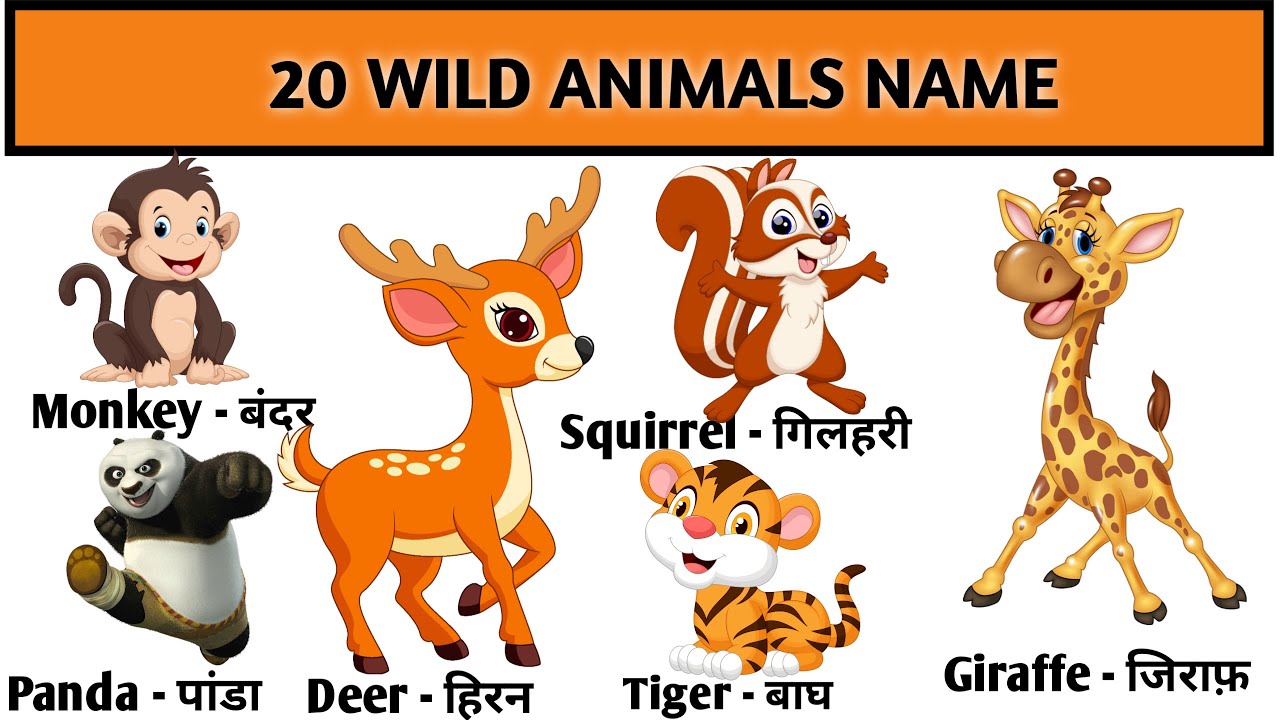 20 Wild Animals Name in Hindi and English with pictures | 20 जंगली ...