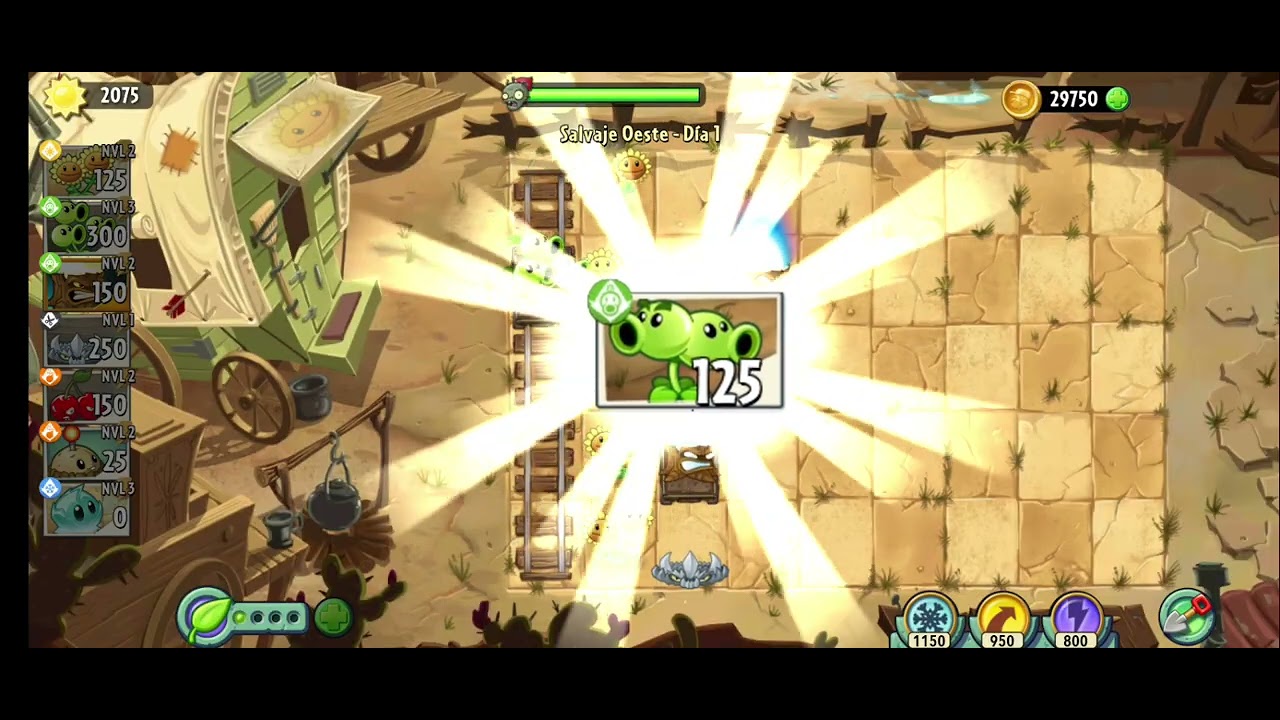 29 de agosto de 2025