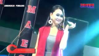 Pantun Cinta - Sindy Claudia feat Duo GERY MAHENDRO - New Primaega Musik