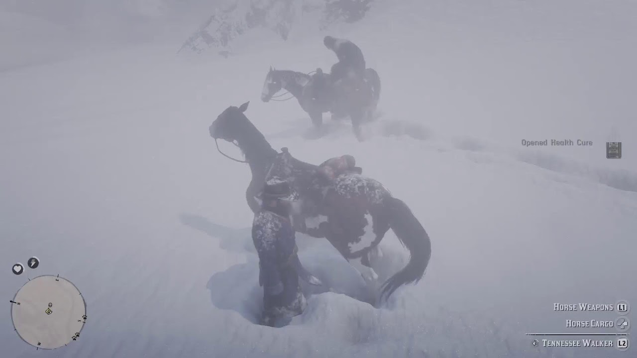 [PS5]RDR2 - YouTube
