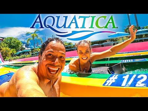 Vídeo: Fotos do Parque Aquático Aquatica no SeaWorld