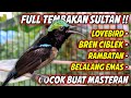 KOMPILASI MASTERAN KONIN FULL TEMBAKAN !! PANCINGAN KOLIBRI NINJA AGAR CEPAT GACOR NEMBAK ISIAN