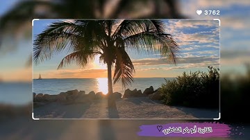 أفرأيت الذي تولى وأعطى قليلًا وأكدى-سورة النجم|الشيخ أبو بكر الشاطري.🌙