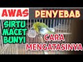 Download Lagu PENYEBAB BURUNG SIRTU MACET BUNYI DAN CARA MENGATASINYA