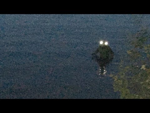 Vidéo: Monstre Des Marais De L'île De Miel - Vue Alternative