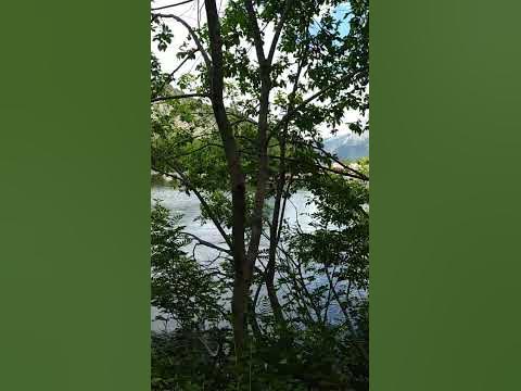 Поход к Бадукским озёрам 32. Тебердинский национальный парк. Домбай ...