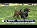 Detienen a un hombre por apuñalar a un perro en el Bosque de Nativitas, Xochimilco