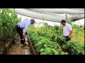 Huertas Familiares en Putumayo - Colombia crece con Ecopetrol