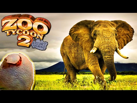 Listen to Zoo Tycoon 2 : Extinct Animals - Main Theme (Full Version) by  RAWSM in Zoo Tycoon 2 Original Soundtrack playlist online for free on  SoundCloud