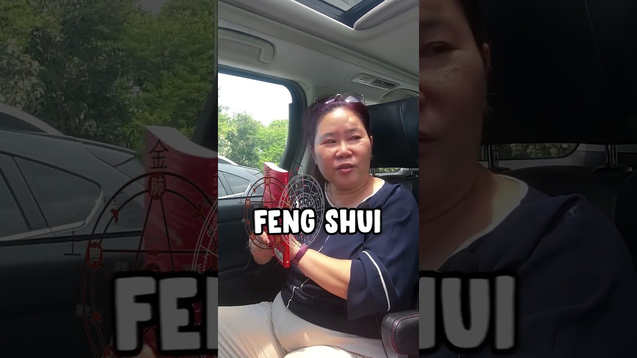 Chinese Horoscope SAME as Western Astrology? #chinesehoroscope #astrology #podcastshorts