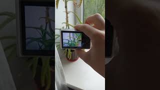 💥Camera Sony Cyber-Shot DSC-T20 Silver 8.1MP digital vintage compact retro rare💥WORKing CHEAP💥