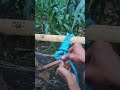 the best way to tie a knot on a hanging object!