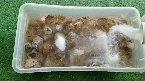 Will vinegar dissolve quartz?