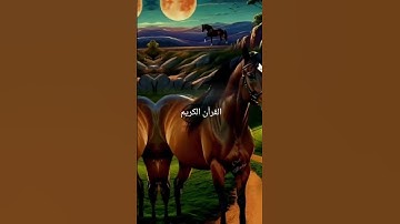 القرآن الكريم #اكسبلور #المصحف #دويتو #ايقنت #لايك #duet #صوت #راحة_نفسية #تيك_توك #اقنباسات