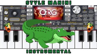 Style Manini Sehar ORG 24 Instrumental Rai screenshot 4