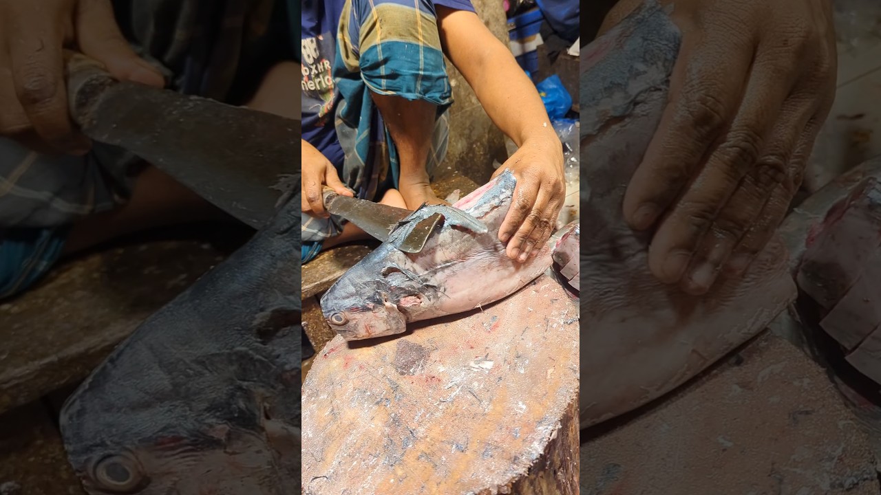 BIGGEST YELLOWFIN TUNA FISH CUTTING & BONELESS FOR STEAK HOME || TRADITIONAL FISH CUTTING