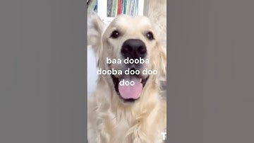 Thumbnail of Funny Song Lyrics (song by Cavendish Music) #funnyvideo #music