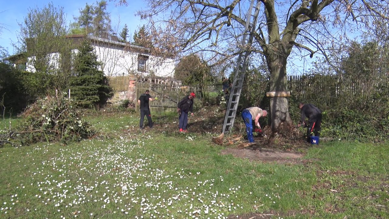 PUNKTum Frühjahrsputz in Siebigerode