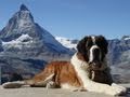 Mit dem Zug zum Matterhorn_ Fahrt zum Gornergrat Teil 1