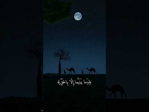 ماهر المعيقلي سورة الحجر