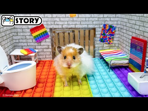 🐹 Хомяк сбегает из Pop It лабиринта 🐹 Хомура Хам Питомцы