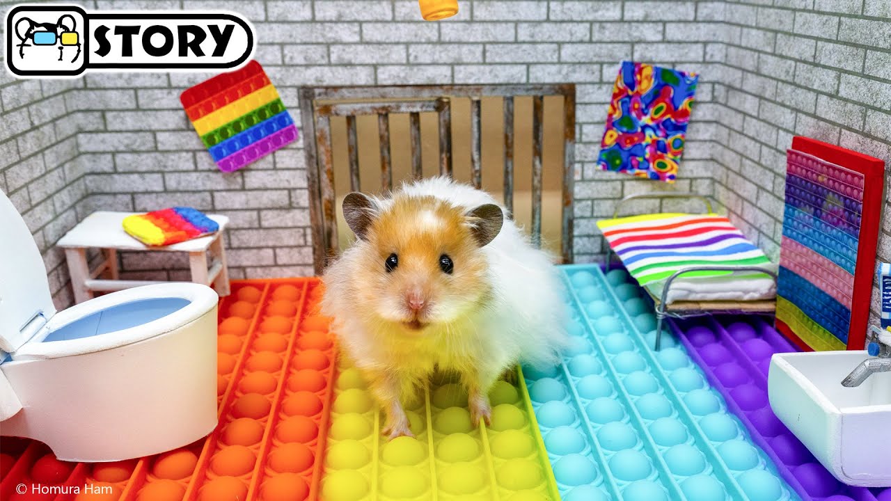 🐹 Хомяк сбегает из Pop It лабиринта 🐹 Хомура Хам Питомцы