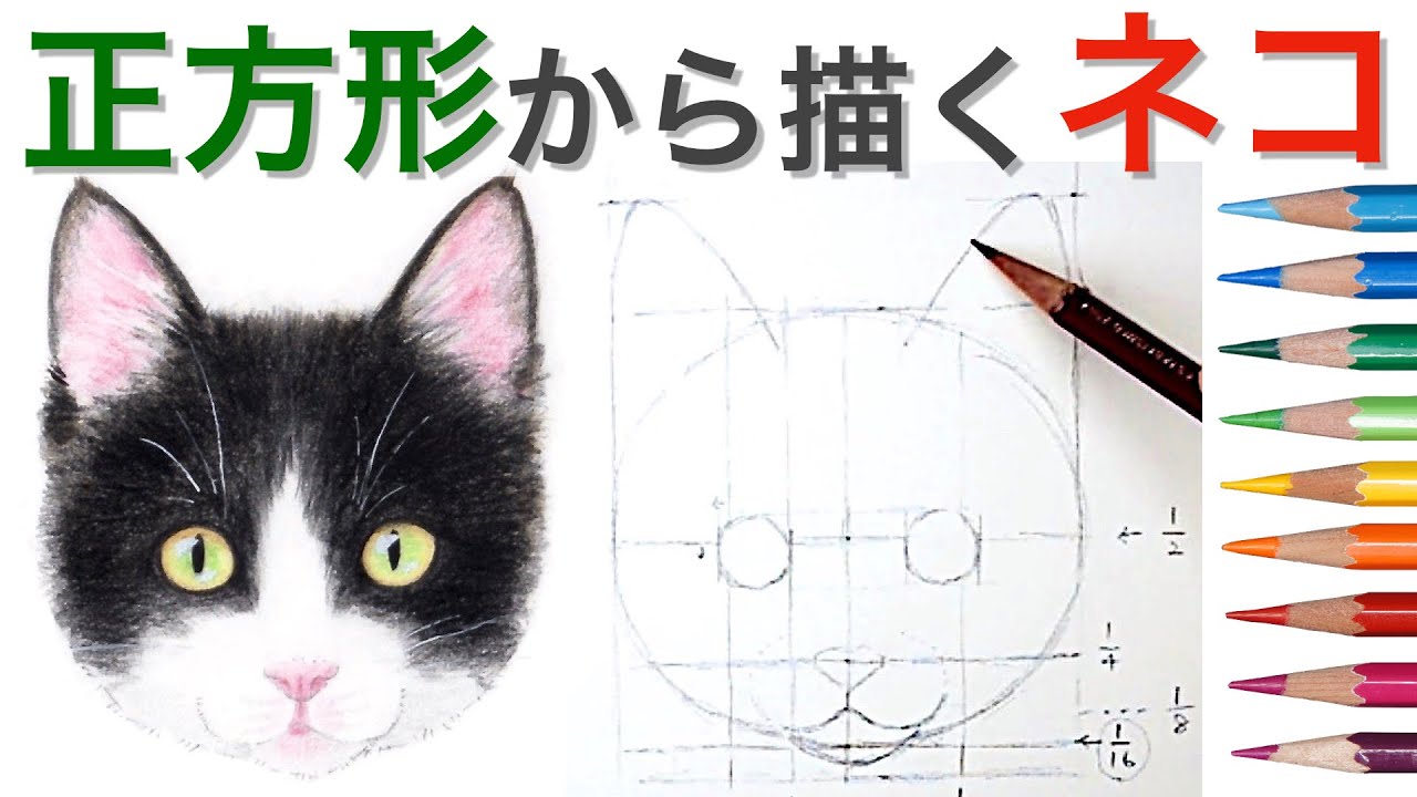 猫の描き方 水彩色鉛筆 正方形から描くリアルな猫の顔 How To Draw A Cat With Watercolor Pencils Youtube