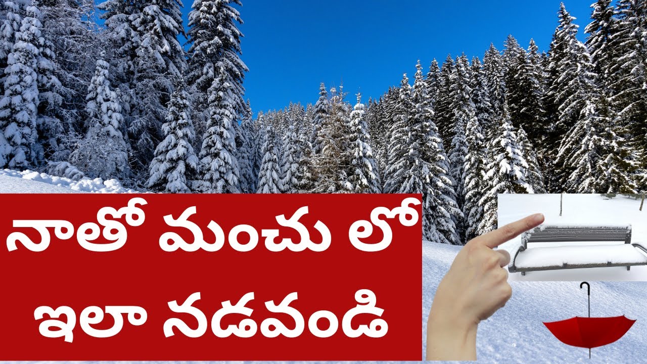Tmixture Walking in Snow Videos in Telugu | మంచు లో ఇలా నాతో కలిసి నడవండి | చెట్ల పై మంచు చూడండి!