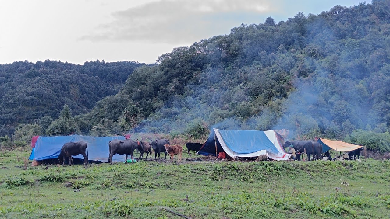 Органическая непальская горная деревенская жизнь в Непале. Самая спокойная и расслабляющая дереве...