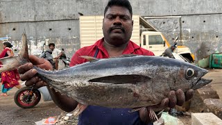 KASIMEDU 🔥 SPEED SELVAM | BIG SIZE TUNA FISH CUTTING | 4K VIDEO | KM FISH CUTTING | IN KASIMEDU