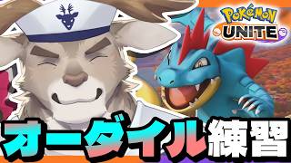 【ポケモンユナイト】オーダイルいい感じになってきた！！！！【Vtuber/ダン坊】