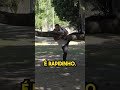 Você acredita em mágica? 😂 #shorts