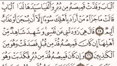 القرآن الكريم - ماهر المعيقلي - صفحة 238