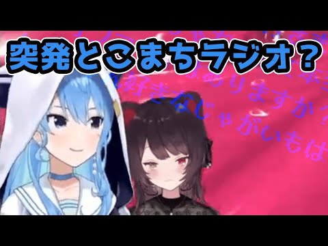 サーモンラン配信中にとこまちが、チャット欄の質問に答えてくれたシーンを集めてみました【星街すいせい/戌亥とこ/ホロライブ/にじさんじ/Vtuber切り抜き/スプラトゥーン3】