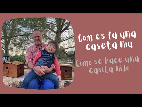 Vídeo: Els Frontons De Les Cases De Fusta (42 Fotos): Què és I Com Fer-ne Una Cornisa? Opcions D'acabat De Bricolatge, Aïllament