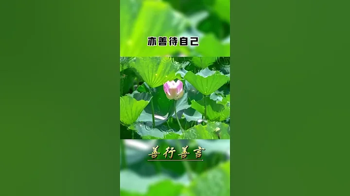 善言善行｜人，重在善良，貴在德行，美在心靈，做一個善良勇敢的人，記得感恩，懂得珍惜，善待他人，亦善待自己 #語錄 #感悟 #生活 #心態 #情感 #心情 #鼓勵 #善心 - 天天要聞